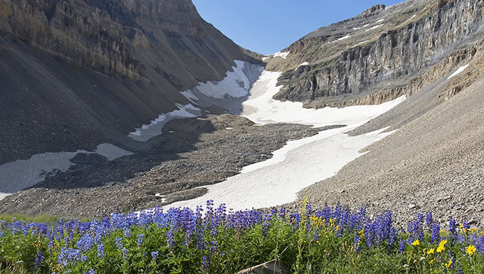 timp glacier